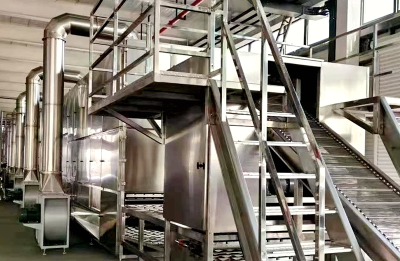 Ligne de production de nouilles séchées non frites